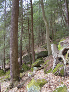 Dejan Mraovic, Hocking Hills State Park