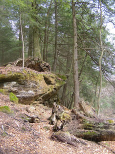 Dejan Mraovic, Hocking Hills State Park